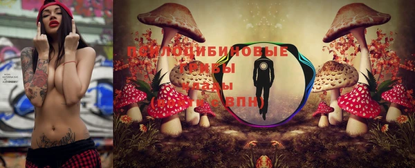 apvp Баксан