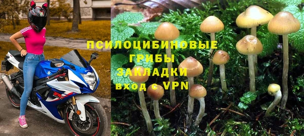 apvp Баксан