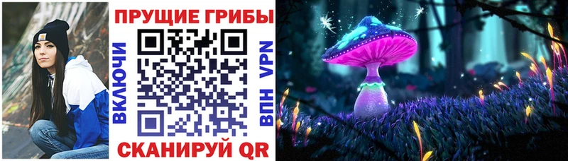 блэк спрут ссылка  Сегежа  Псилоцибиновые грибы Cubensis  где найти наркотики 