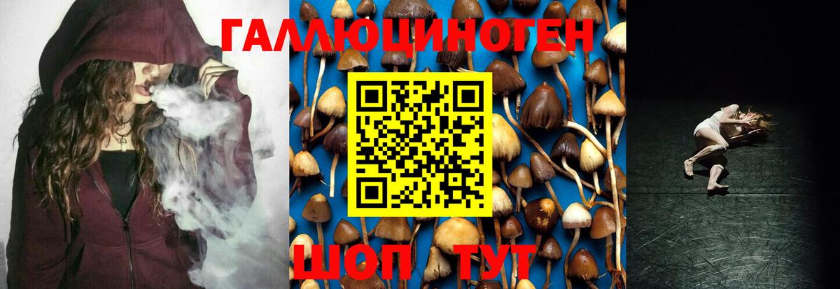 Сегежа  Галлюциногенные грибы MAGIC MUSHROOMS  Псилоцибиновые грибы Magic Shrooms  Вход с VPN 